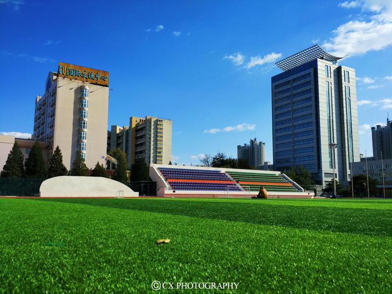 陈逍：中传秋景